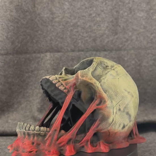 The Hollow Crown skull dice tower turning on a display stand, showing the painted bone and moss finish.